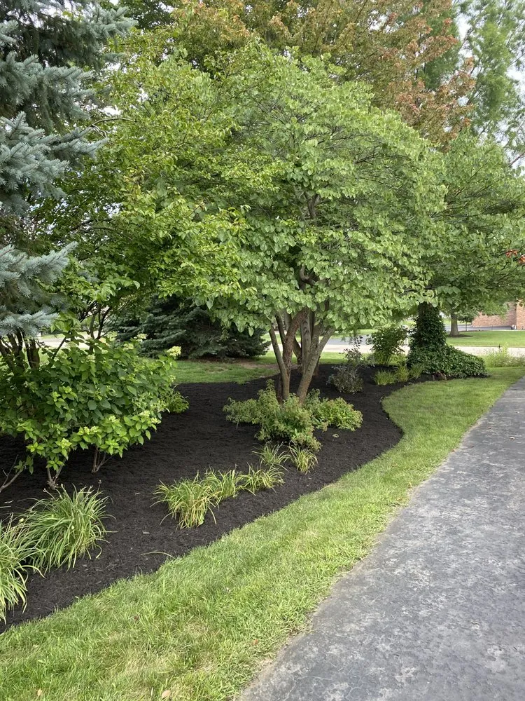 Professional yard maintenance in Harvard, IL - White Pine Landscaping