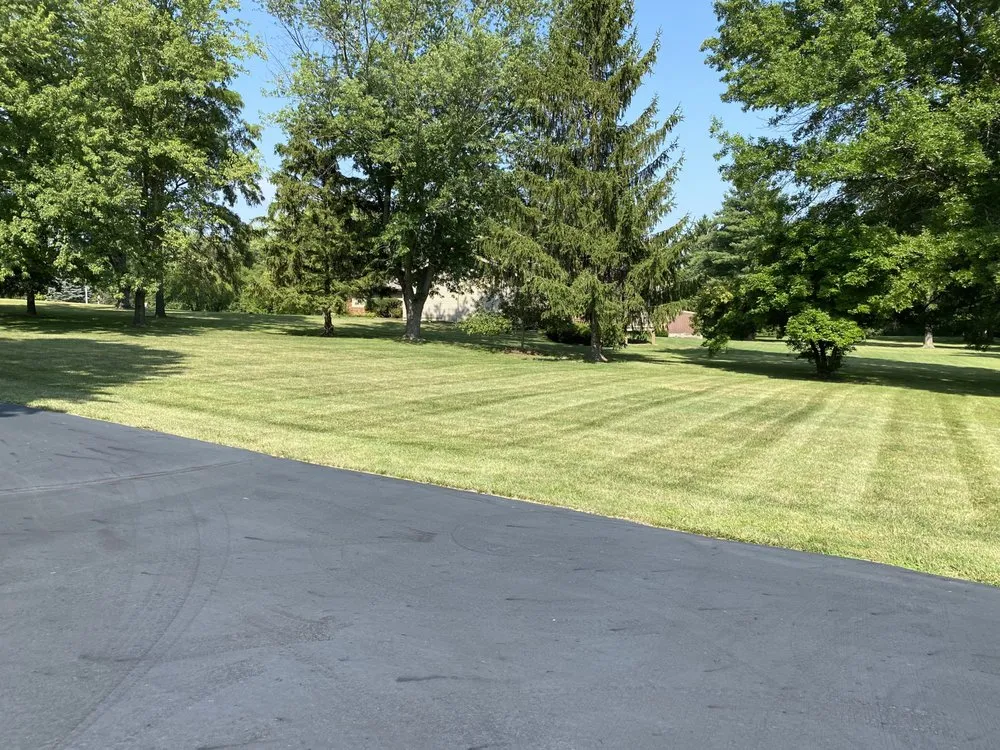 Local yard cleanup service in Harvard, IL - White Pine Landscaping