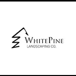 Local yard cleanup service for residential properties in North Kingstown, RI by White Pine Landscaping