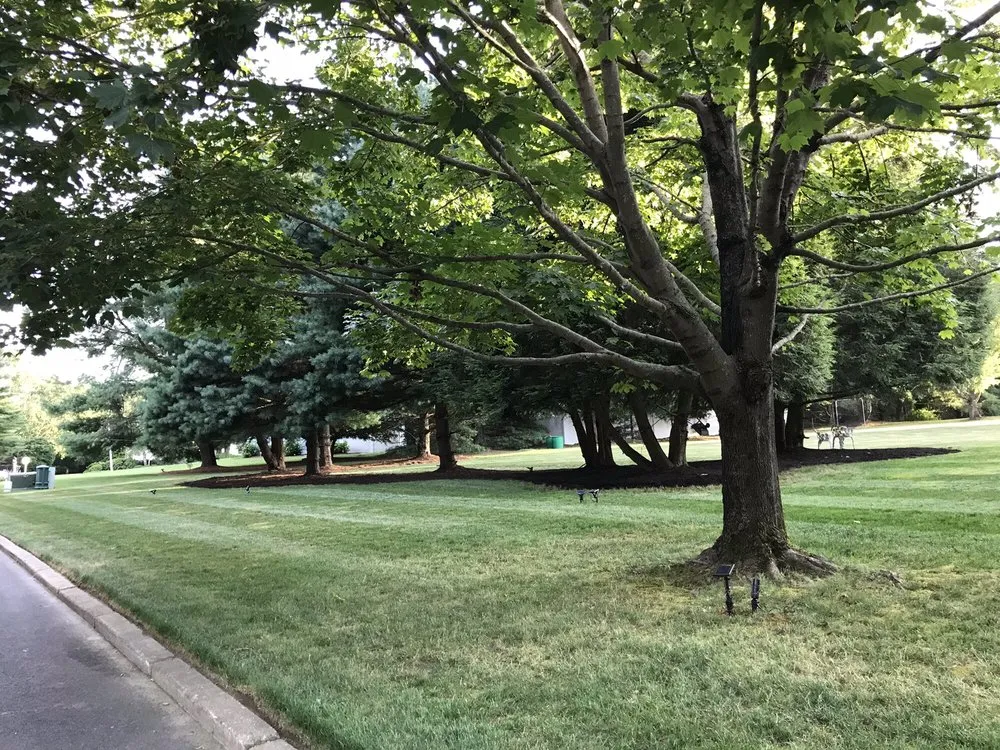 Local yard maintenance for year-round maintenance across North Kingstown, RI - White Pine Landscaping