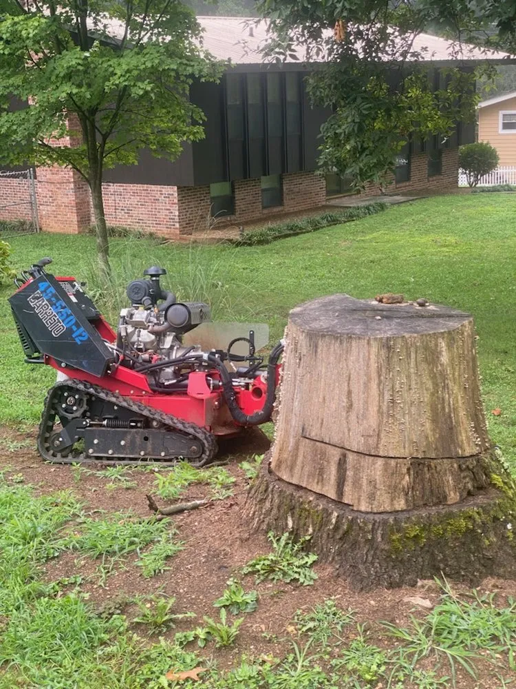 Local landscaping services in White Pine, TN - White Pine Stump Grind