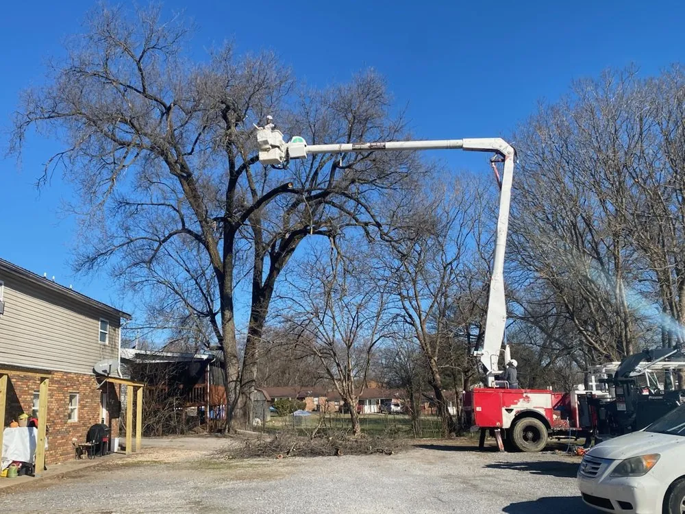 Custom lawn care service in White Pine, TN - White Pine Stump Grind