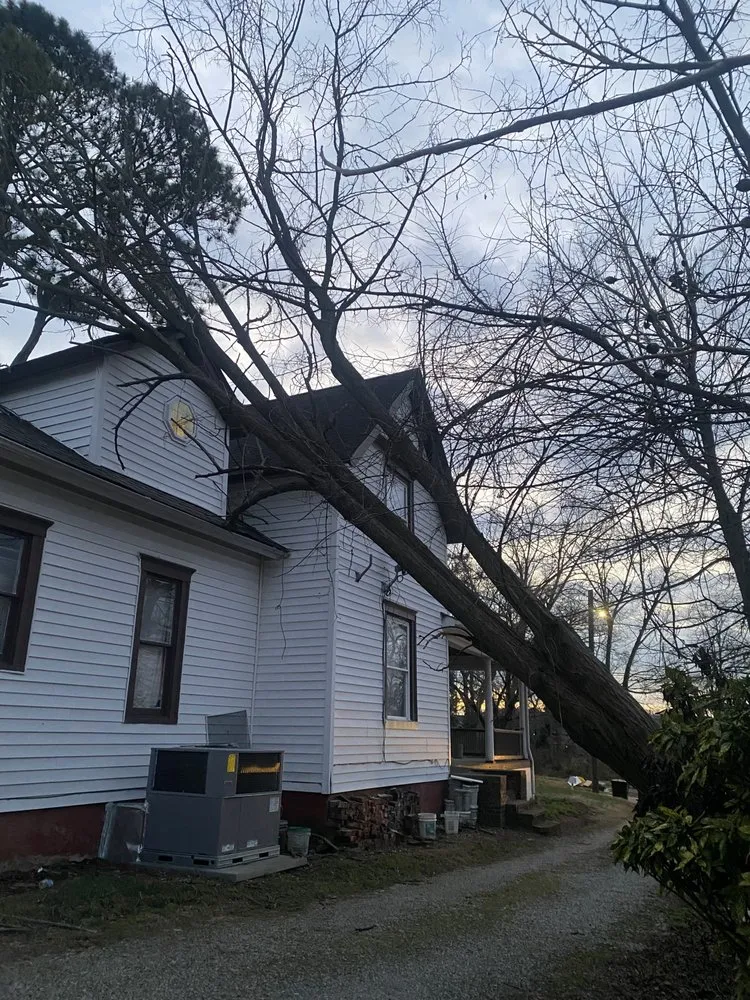 Trusted landscape installation in White Pine, TN - White Pine Stump Grind