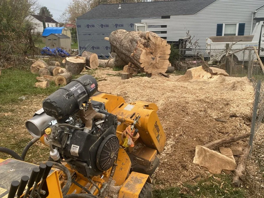 Trusted landscape design in White Pine, TN by White Pine Stump Grind