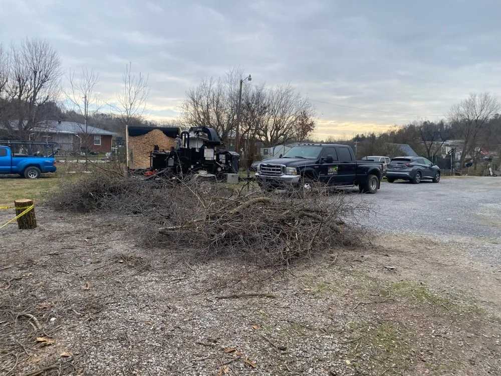 Local yard maintenance in White Pine, TN by White Pine Stump Grind