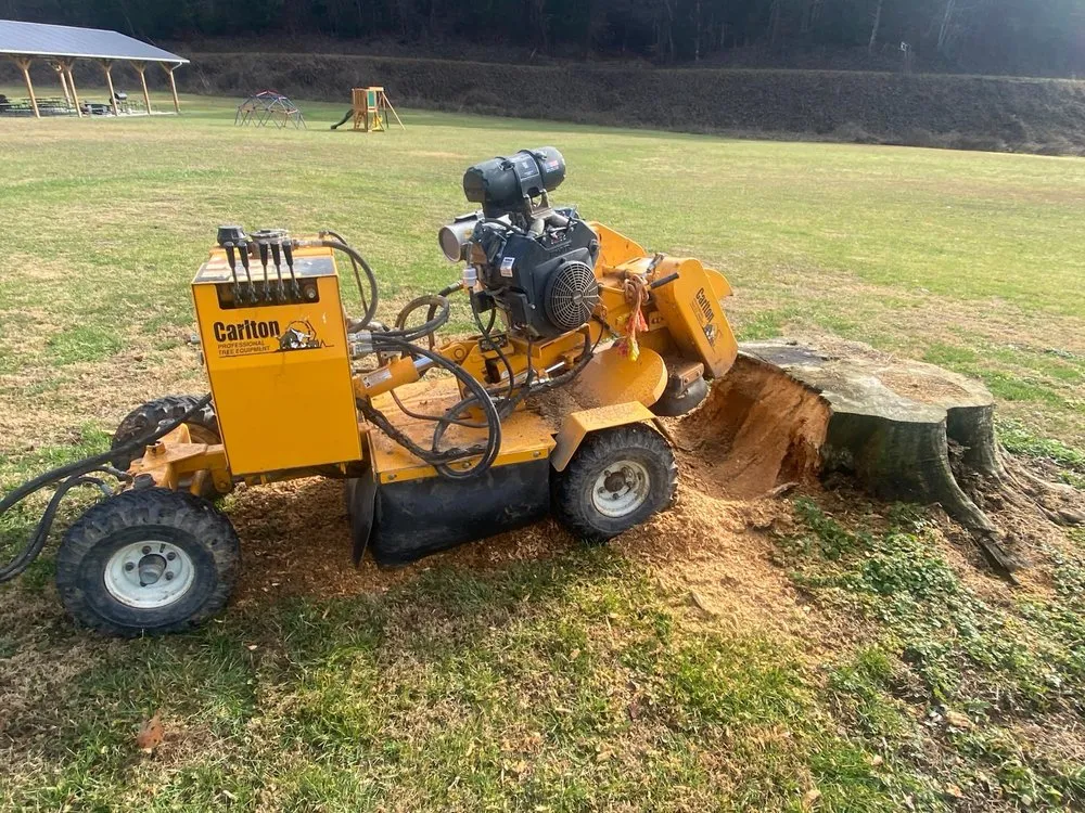 Custom landscape design with custom design in White Pine, TN by White Pine Stump Grind