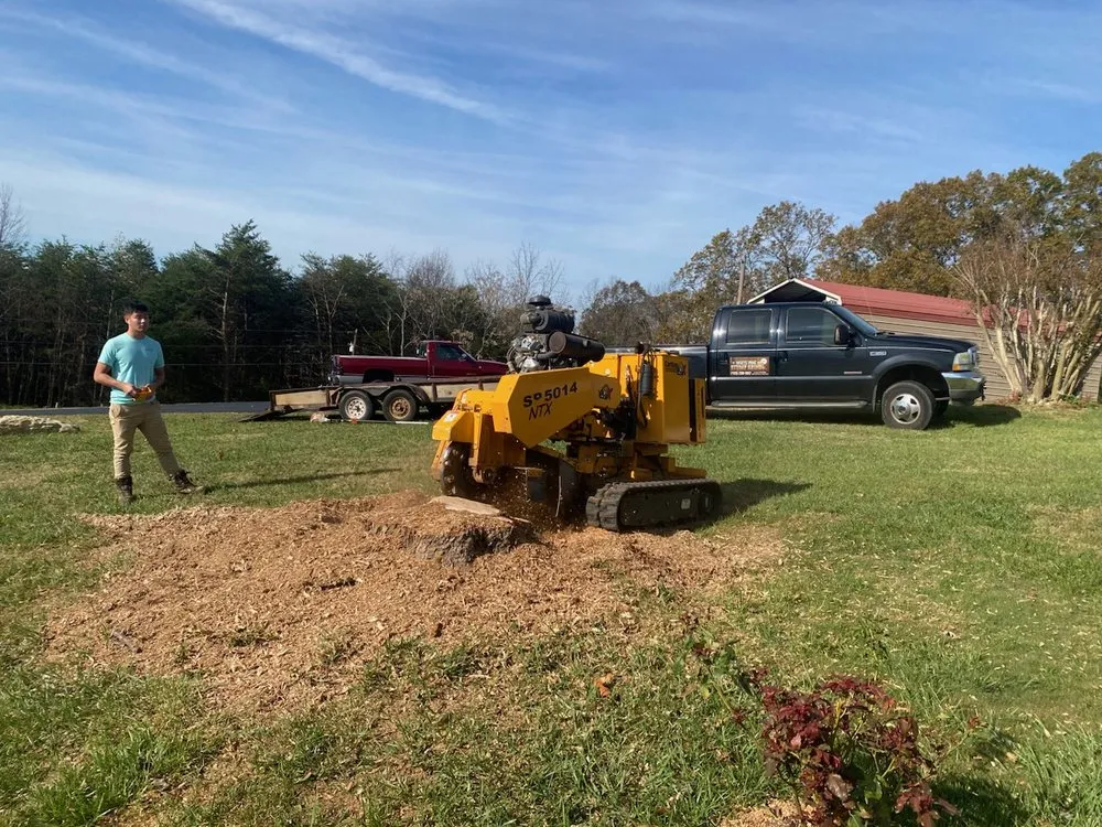 Affordable outdoor landscaping for outdoor upgrades across White Pine, TN - White Pine Stump Grind