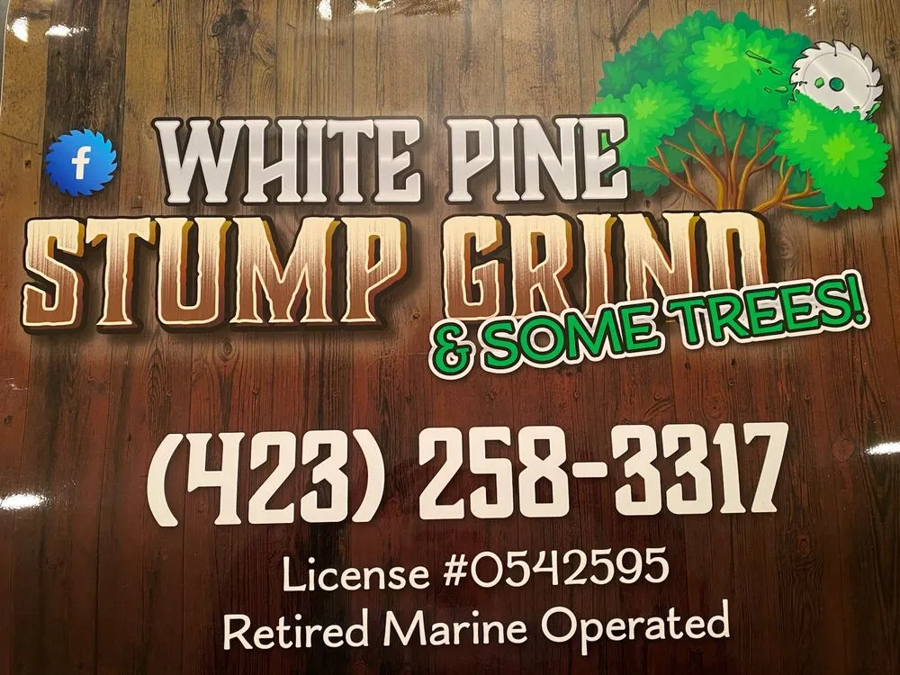 Trusted landscape design in White Pine, TN by White Pine Stump Grind