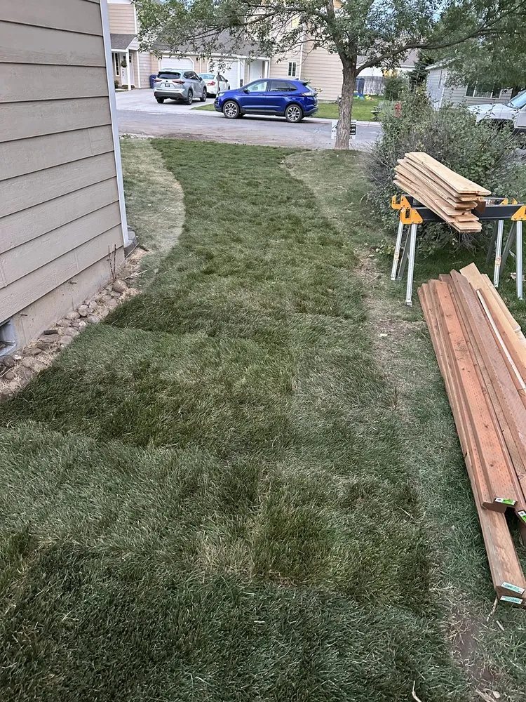 Affordable yard cleanup service in Bozeman, MT - White Pines Landscaping