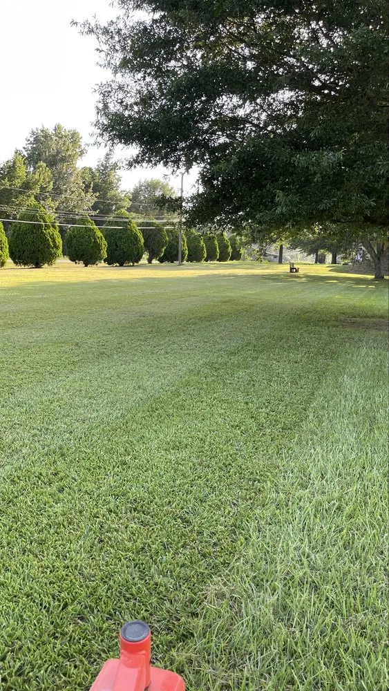 Expert yard maintenance experts serving Lonoke, AR - White River Lawn