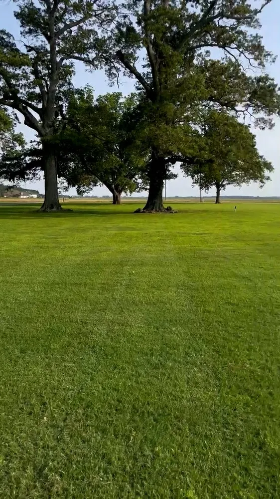 Expert landscape installation for homes in Lonoke, AR by White River Lawn