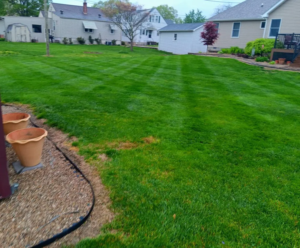 Professional yard cleanup service in Seymour, IN - White River Outdoor Services