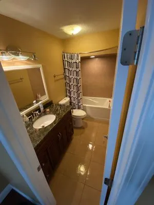 White Sanitation Services Logo