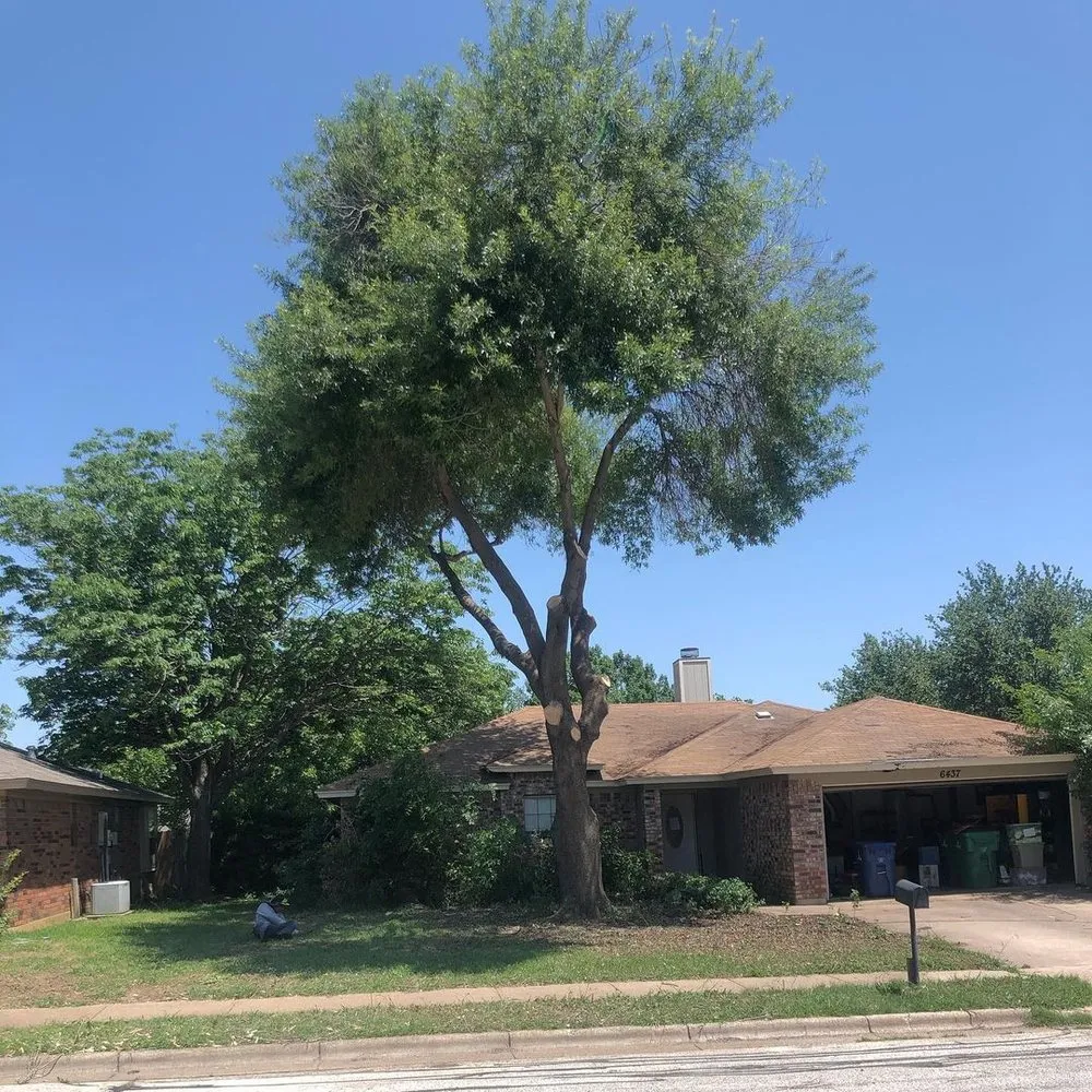 Expert residential landscaping for outdoor upgrades across White Settlement, TX - White Settlement Tree Service