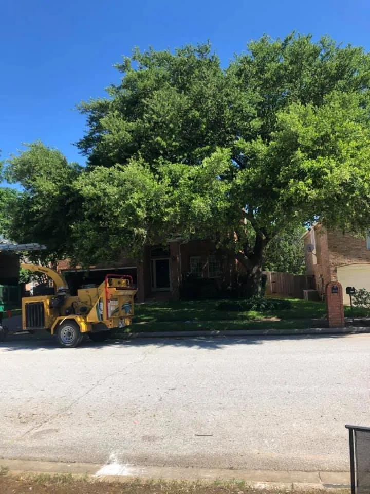 Local garden landscaping for beautiful yards across White Settlement, TX - White Settlement Tree Service
