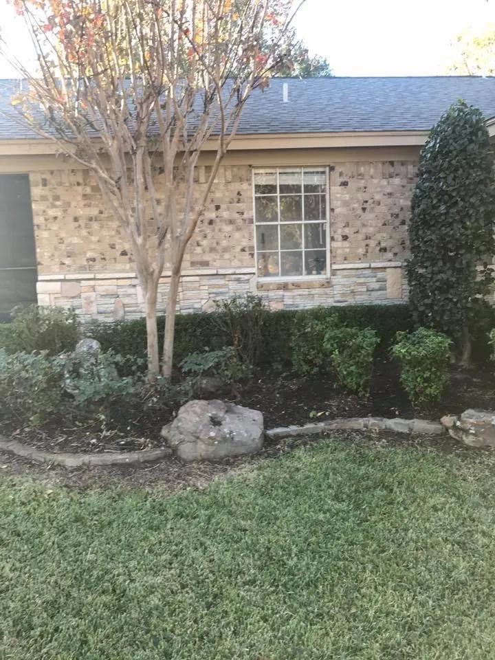 Expert yard maintenance in White Settlement, TX by White Settlement Tree Service