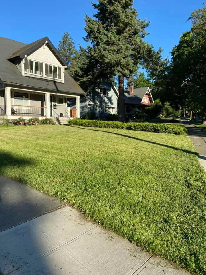 Professional outdoor landscaping for beautiful yards in Chattaroy, WA by White Tail Lawn and Plow