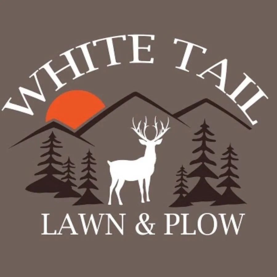 Trusted lawn care service experts serving Chattaroy, WA - White Tail Lawn and Plow
