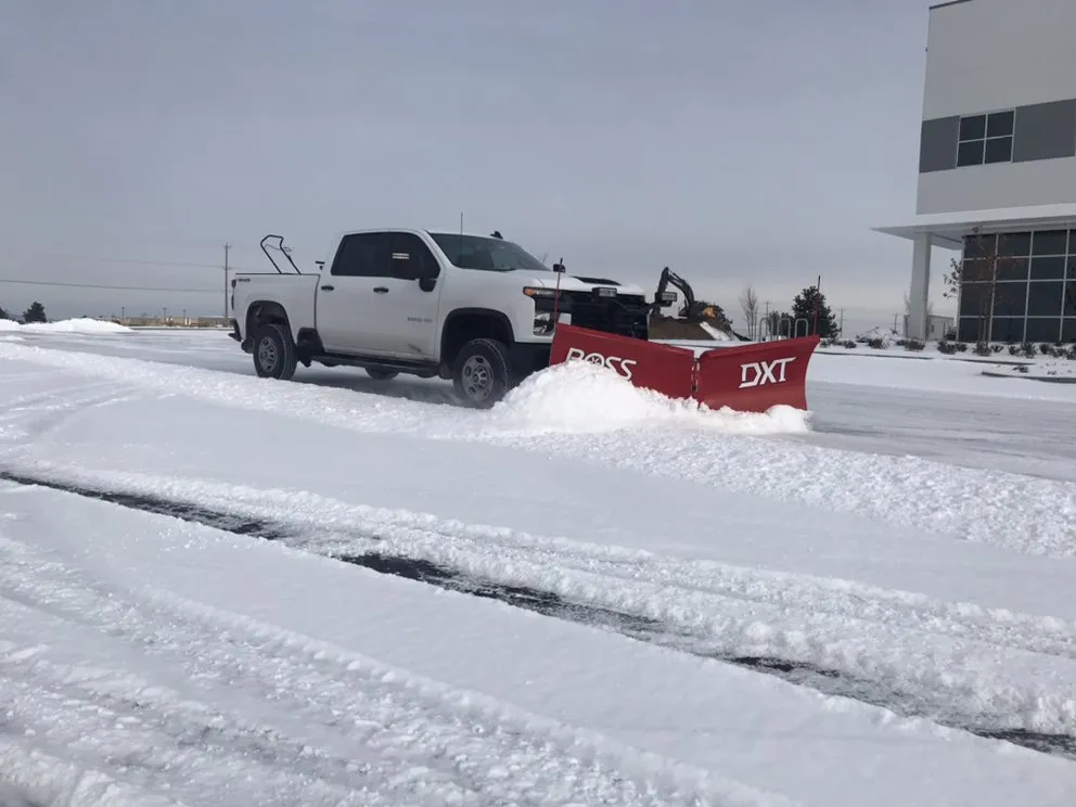 Top-rated yard cleanup service in Chattaroy, WA - White Tail Lawn and Plow