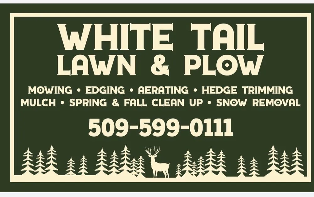 Affordable yard cleanup service for year-round maintenance across Chattaroy, WA - White Tail Lawn and Plow