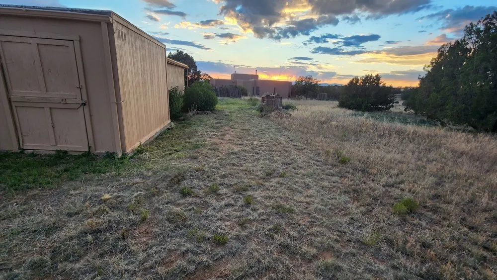 Expert yard maintenance experts serving Santa Fe, NM - White Truck Services