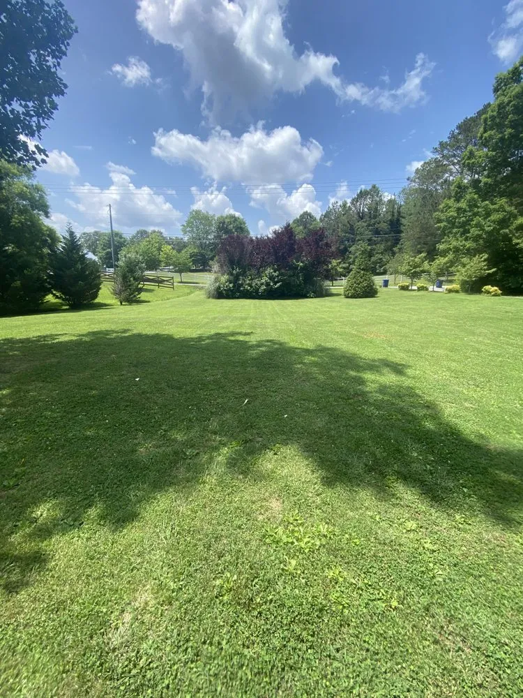 Professional landscape installation with custom design in Ooltewah, TN by White Wash Outdoors