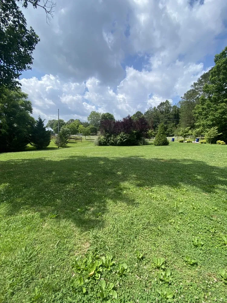 Professional garden landscaping for outdoor upgrades in Ooltewah, TN by White Wash Outdoors