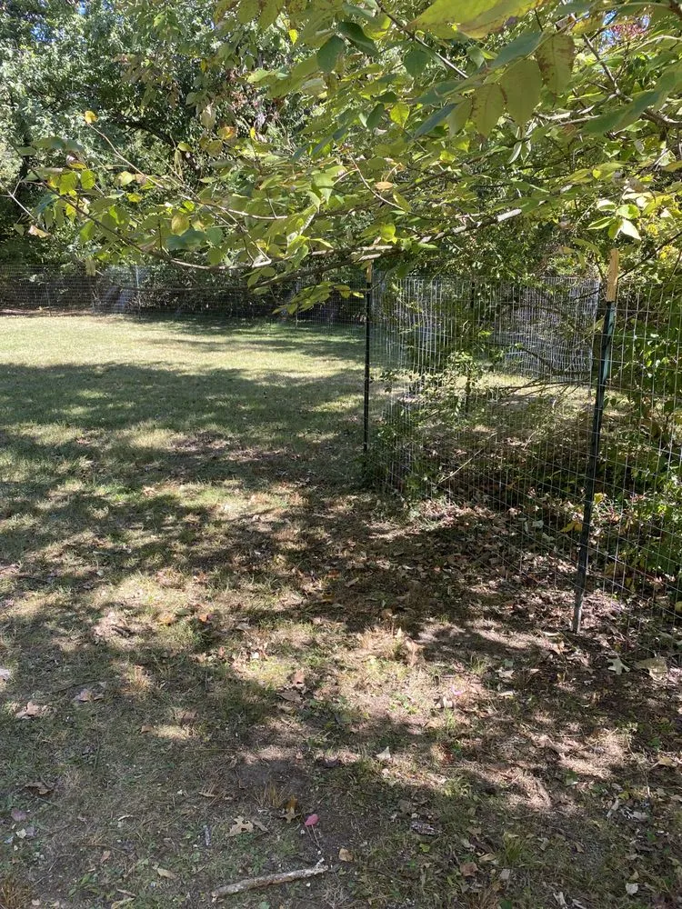 Expert lawn mowing service in Ooltewah, TN - White Wash Outdoors
