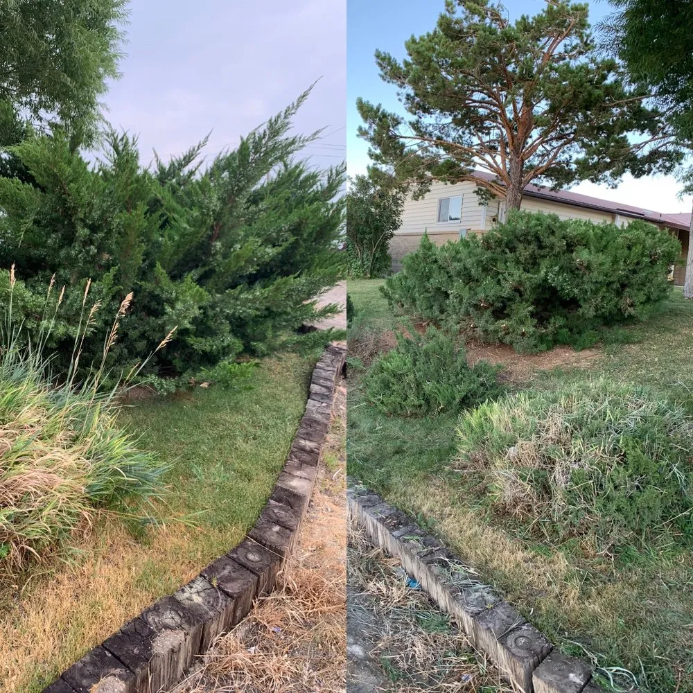 Expert residential landscaping in Huntington, UT by White Water Services