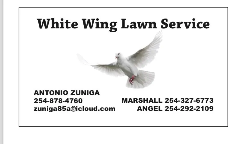 Professional yard maintenance in Waco, TX by White Wing Lawn Service