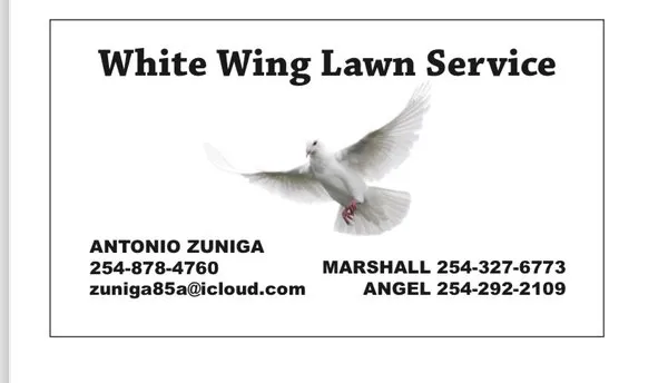White Wing Lawn Service Logo