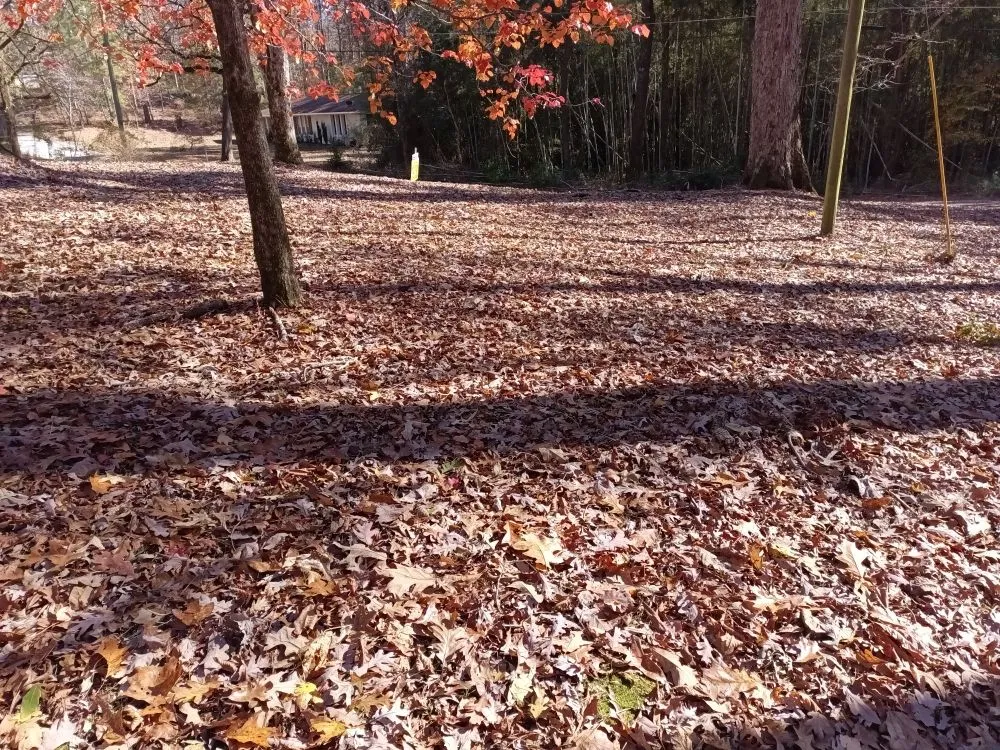 Local garden landscaping in Philadelphia, MS - Whitecrow Property Pros