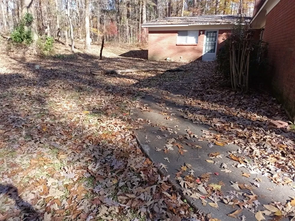 Local lawn care service in Philadelphia, MS by Whitecrow Property Pros