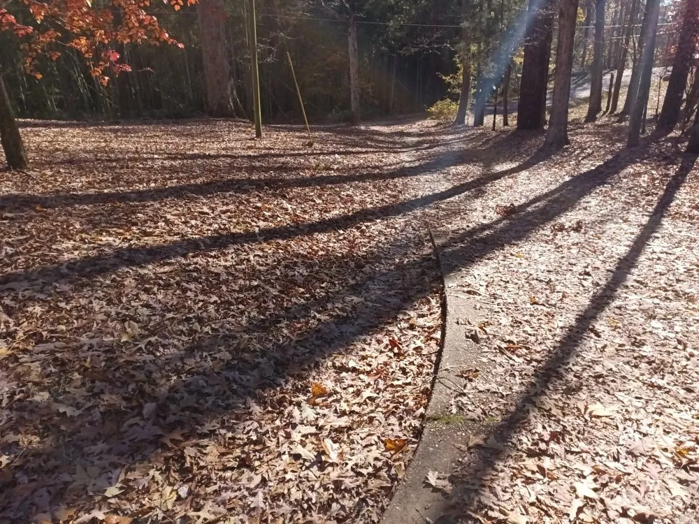 Local residential landscaping for beautiful yards in Philadelphia, MS by Whitecrow Property Pros