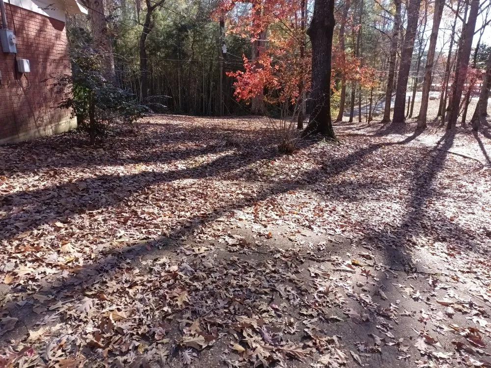 Local landscape installation experts serving Philadelphia, MS - Whitecrow Property Pros