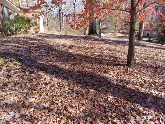 Whitecrow Property Pros