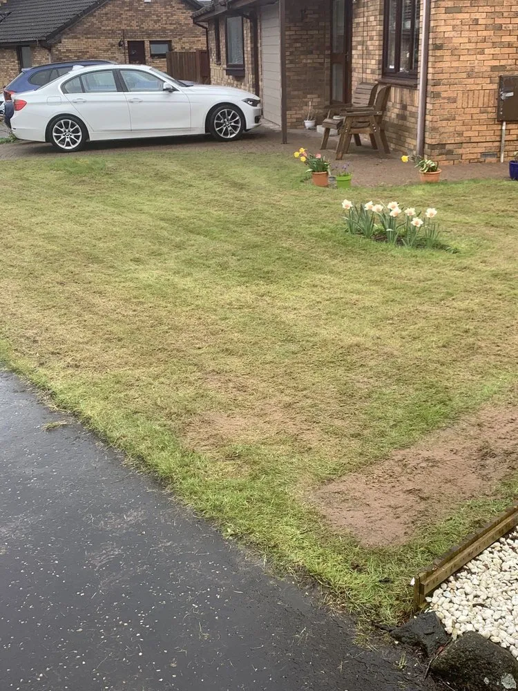 Affordable landscaping services for beautiful yards in Hephzibah, GA by WhiteCz Lawncare and Cleaning