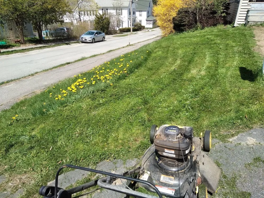 Trusted landscaping services for year-round maintenance in Hephzibah, GA by WhiteCz Lawncare and Cleaning