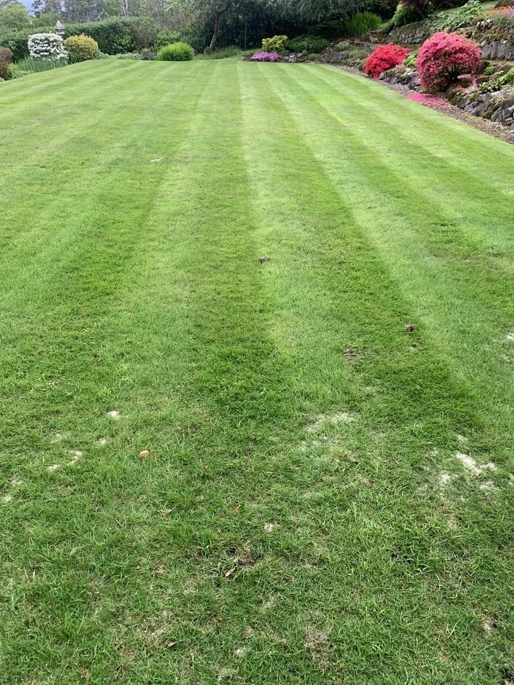 Local landscape design in Hephzibah, GA - WhiteCz Lawncare and Cleaning