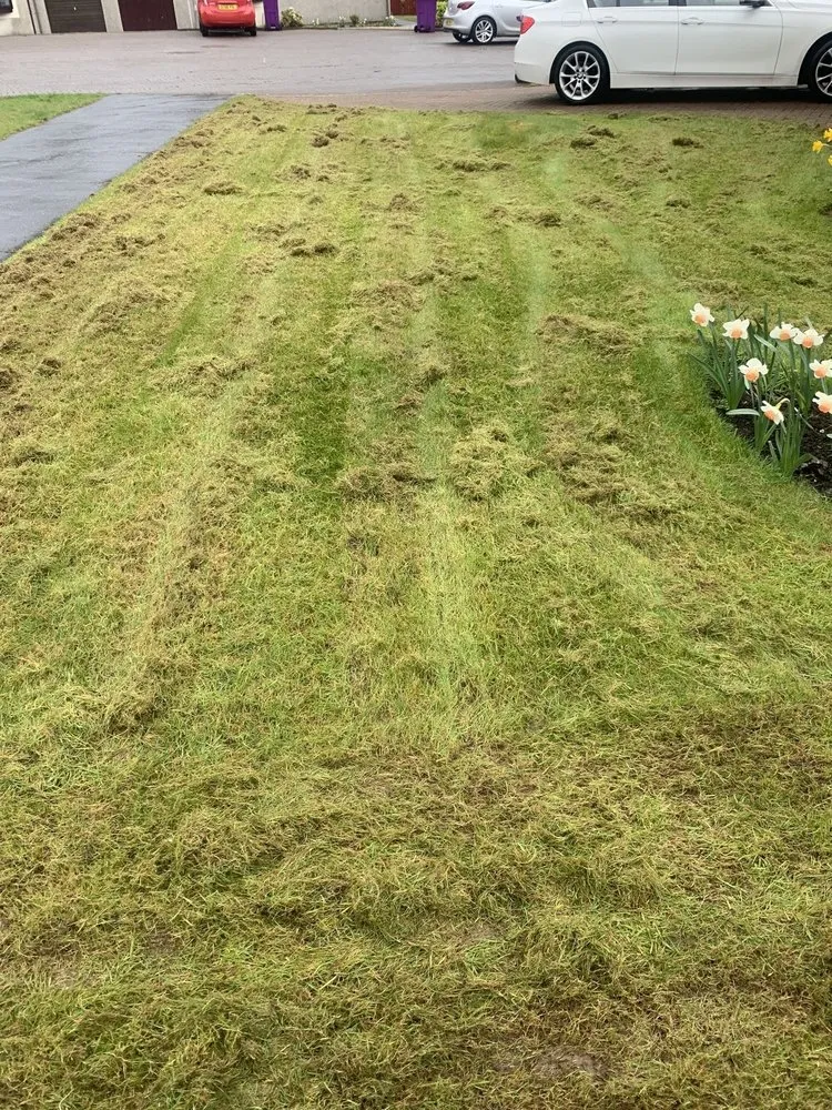 Professional outdoor landscaping for beautiful yards in Hephzibah, GA by WhiteCz Lawncare and Cleaning