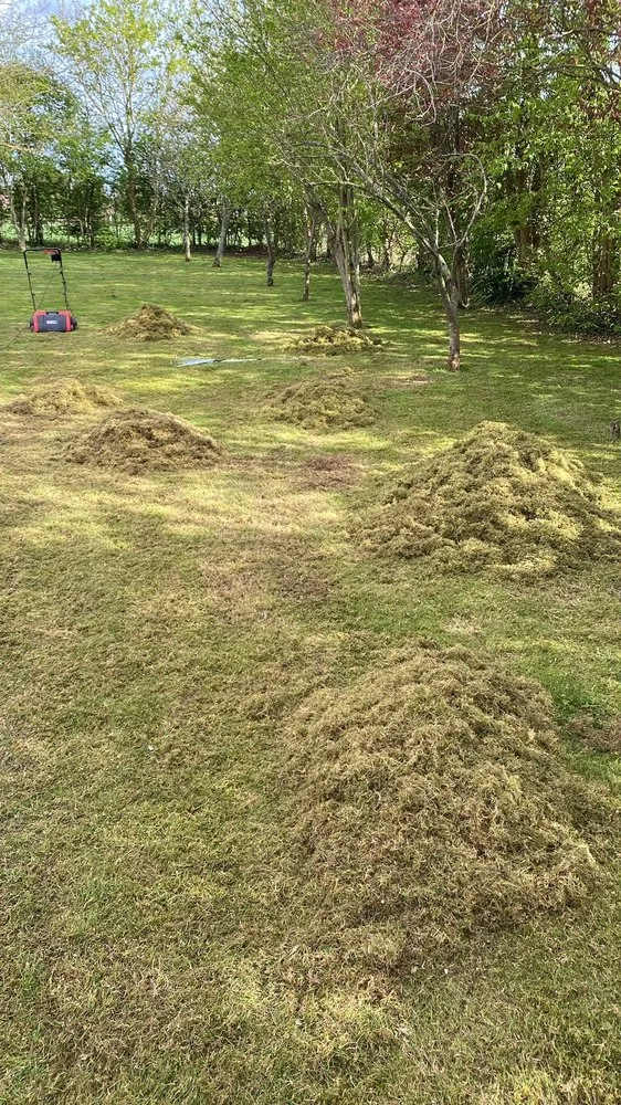 Professional landscape installation in Hephzibah, GA by WhiteCz Lawncare and Cleaning