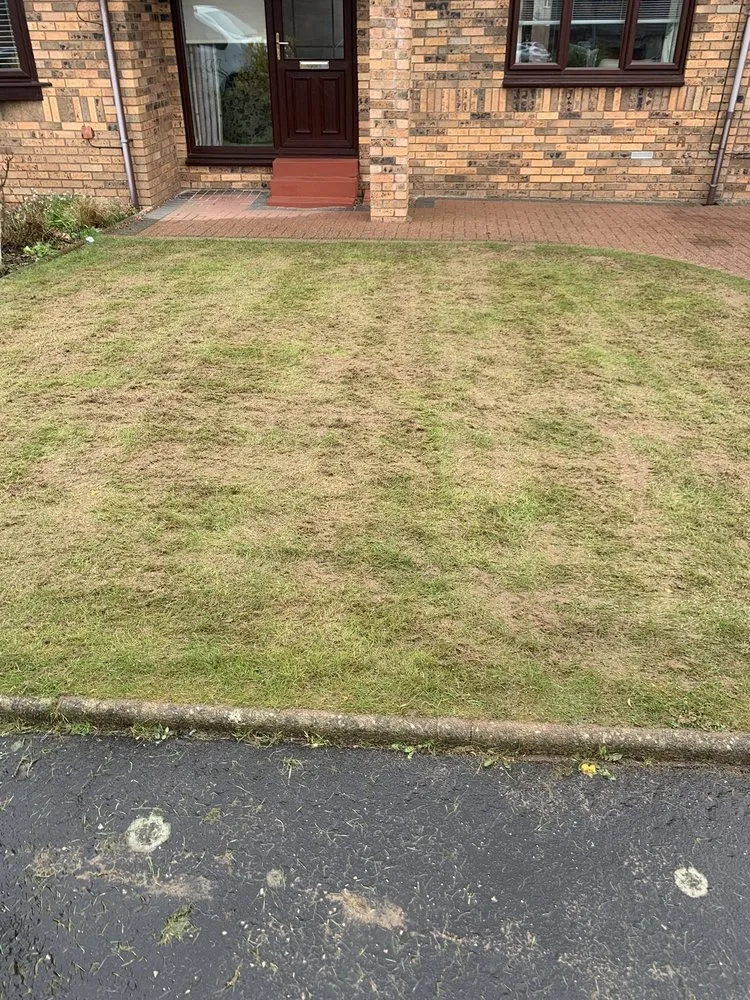 Expert outdoor landscaping for homes across Hephzibah, GA - WhiteCz Lawncare and Cleaning