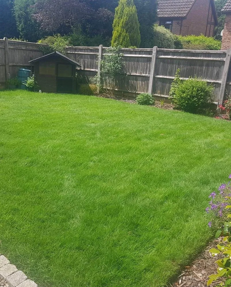 Top-rated lawn mowing service in Hephzibah, GA by WhiteCz Lawncare and Cleaning