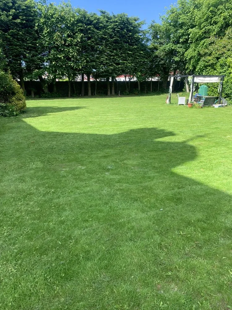 Expert lawn care service experts serving Hephzibah, GA - WhiteCz Lawncare and Cleaning