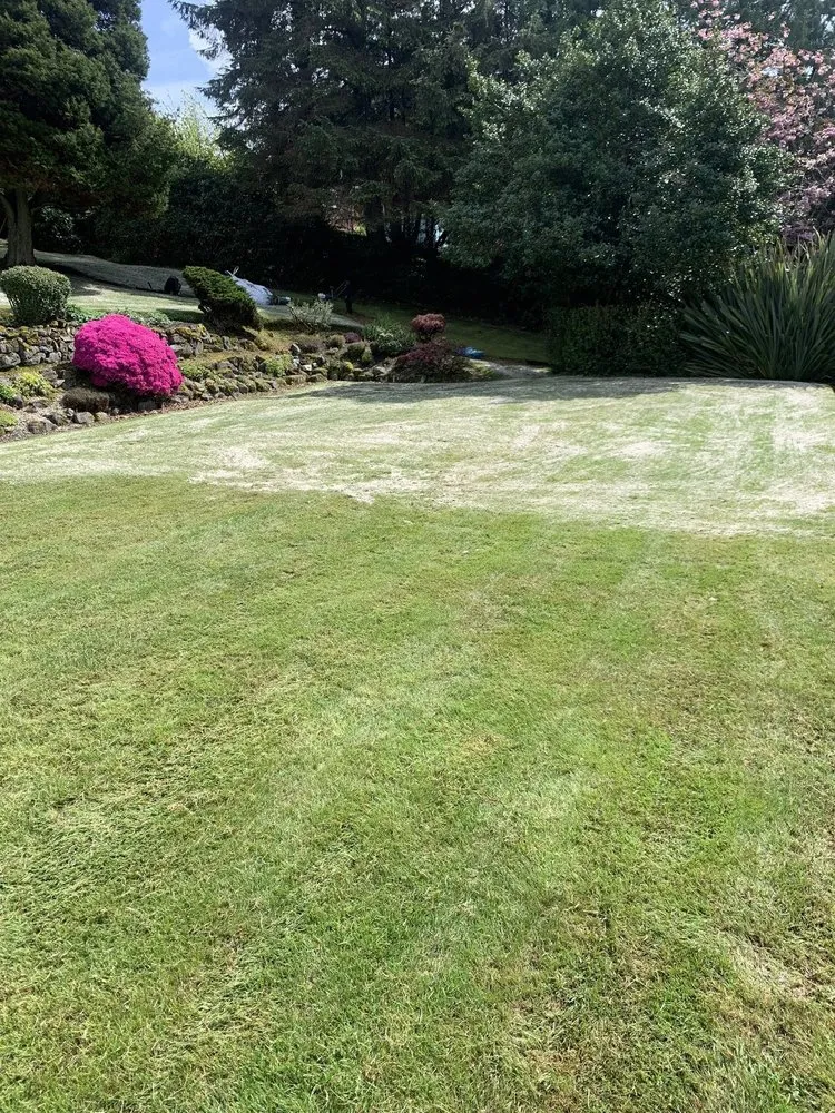 Expert residential landscaping in Hephzibah, GA - WhiteCz Lawncare and Cleaning