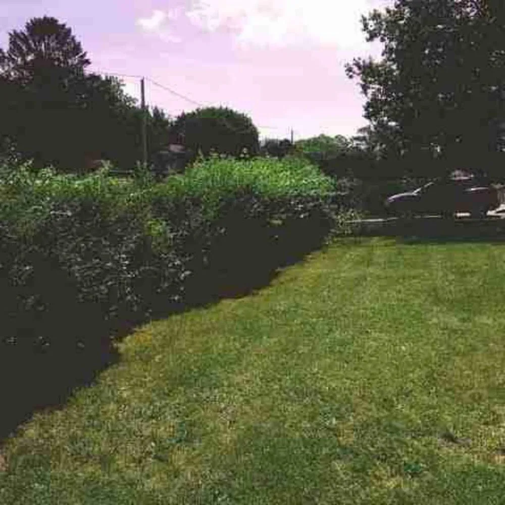 Expert landscape installation experts serving Hephzibah, GA - WhiteCz Lawncare and Cleaning