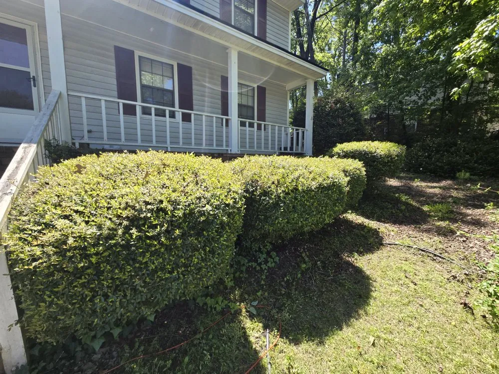 Trusted yard cleanup service experts serving Hephzibah, GA - WhiteCz Lawncare and Cleaning