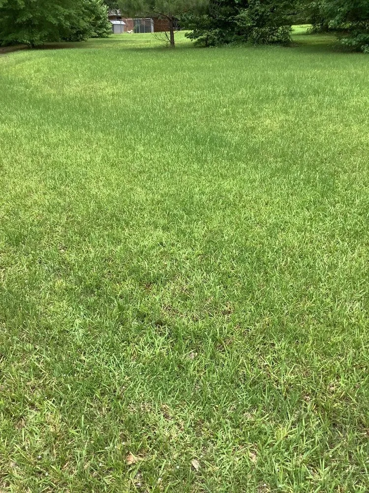 Trusted garden landscaping experts serving Hephzibah, GA - WhiteCz Lawncare and Cleaning