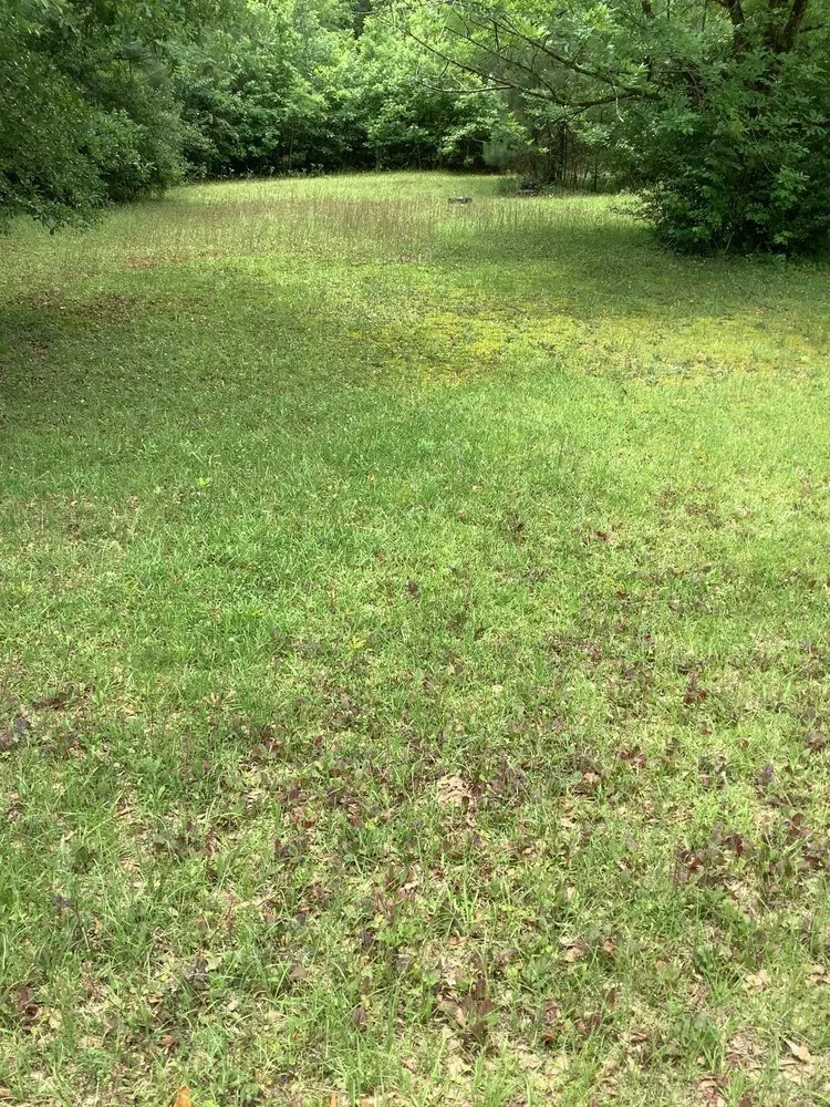 Top-rated yard maintenance in Hephzibah, GA - WhiteCz Lawncare and Cleaning