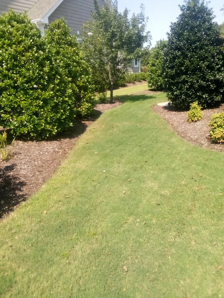 Reliable lawn care service experts serving Winnabow, NC - Whitecz LawnCare and Cleaning